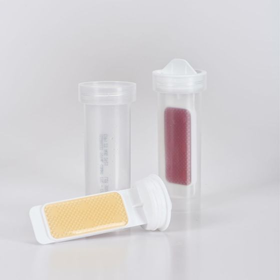 HygieneChek<sup>™</sup> PLUS - Lactic Acid Bacteria / Lactic Acid Bacteria